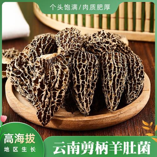 云南高山珍品 新鲜全剪柄小羊肚菌，礼盒源头直供的财富密码
